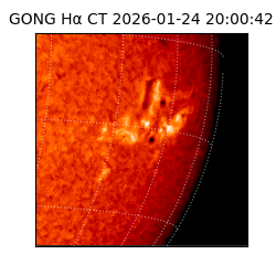 gong - 2026-01-24T20:00:42