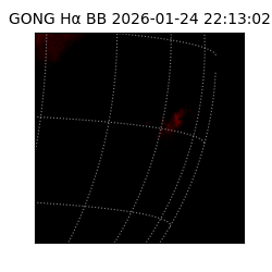 gong - 2026-01-24T22:13:02