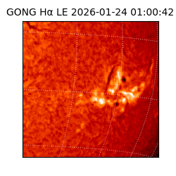 gong - 2026-01-24T01:00:42