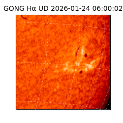 gong - 2026-01-24T06:00:02