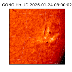gong - 2026-01-24T08:00:02