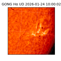 gong - 2026-01-24T10:00:02