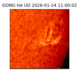 gong - 2026-01-24T11:00:02