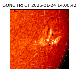 gong - 2026-01-24T14:00:42