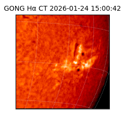 gong - 2026-01-24T15:00:42