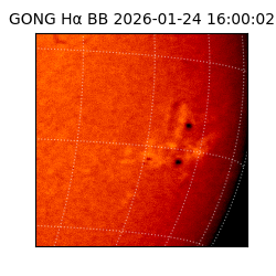 gong - 2026-01-24T16:00:02
