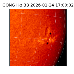 gong - 2026-01-24T17:00:02