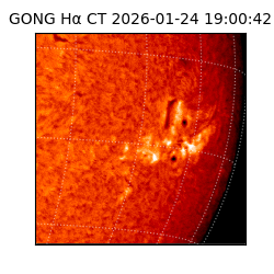 gong - 2026-01-24T19:00:42