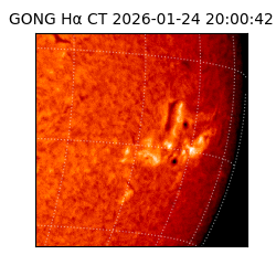 gong - 2026-01-24T20:00:42