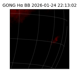 gong - 2026-01-24T22:13:02