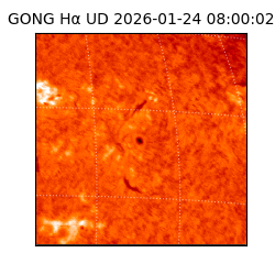gong - 2026-01-24T08:00:02