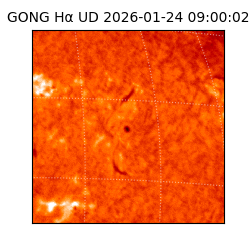 gong - 2026-01-24T09:00:02