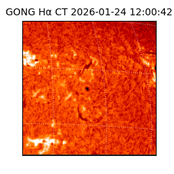 gong - 2026-01-24T12:00:42