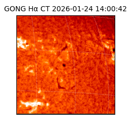 gong - 2026-01-24T14:00:42