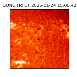 gong - 2026-01-24T15:00:42