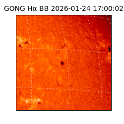 gong - 2026-01-24T17:00:02