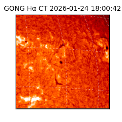 gong - 2026-01-24T18:00:42
