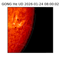 gong - 2026-01-24T08:00:02