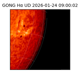 gong - 2026-01-24T09:00:02