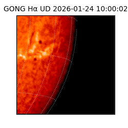 gong - 2026-01-24T10:00:02