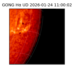 gong - 2026-01-24T11:00:02