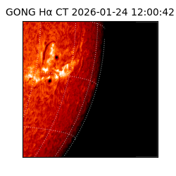 gong - 2026-01-24T12:00:42