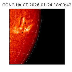 gong - 2026-01-24T18:00:42