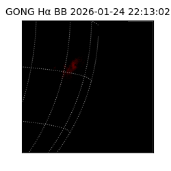 gong - 2026-01-24T22:13:02