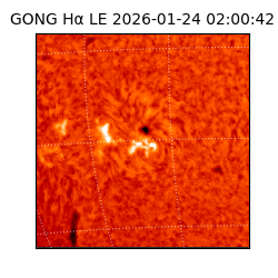 gong - 2026-01-24T02:00:42