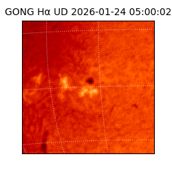 gong - 2026-01-24T05:00:02