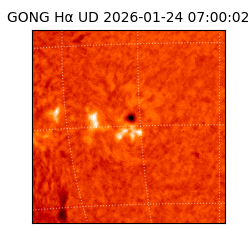 gong - 2026-01-24T07:00:02