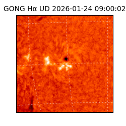 gong - 2026-01-24T09:00:02