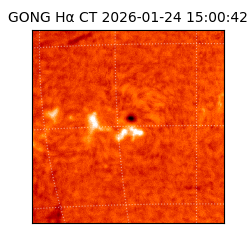 gong - 2026-01-24T15:00:42
