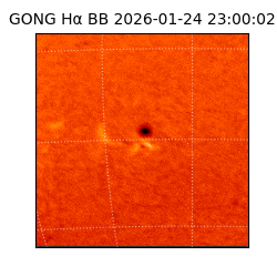 gong - 2026-01-24T23:00:02