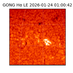 gong - 2026-01-24T01:00:42