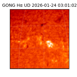 gong - 2026-01-24T03:01:02