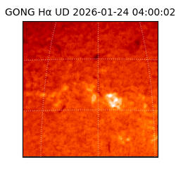gong - 2026-01-24T04:00:02