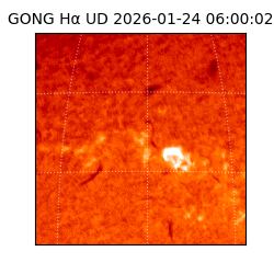 gong - 2026-01-24T06:00:02