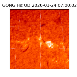 gong - 2026-01-24T07:00:02