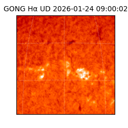 gong - 2026-01-24T09:00:02