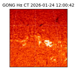 gong - 2026-01-24T12:00:42