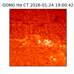 gong - 2026-01-24T19:00:42