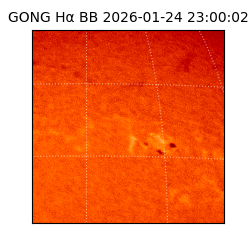 gong - 2026-01-24T23:00:02