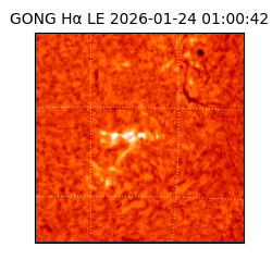 gong - 2026-01-24T01:00:42