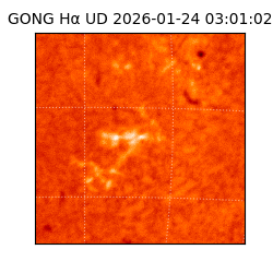 gong - 2026-01-24T03:01:02