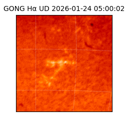 gong - 2026-01-24T05:00:02