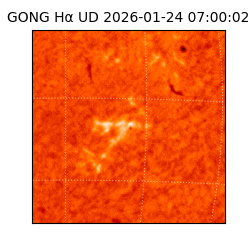 gong - 2026-01-24T07:00:02