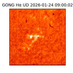gong - 2026-01-24T09:00:02