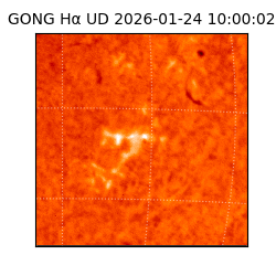 gong - 2026-01-24T10:00:02