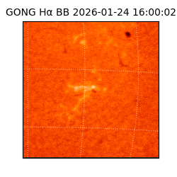 gong - 2026-01-24T16:00:02